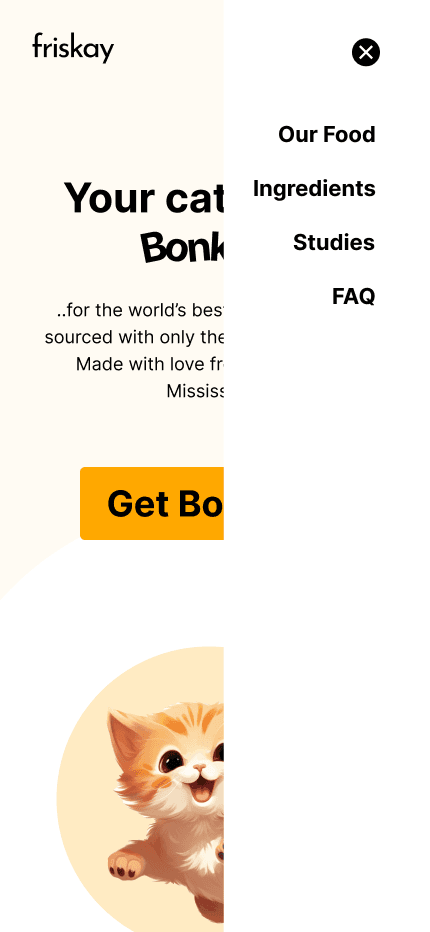 Friskay Website media 4