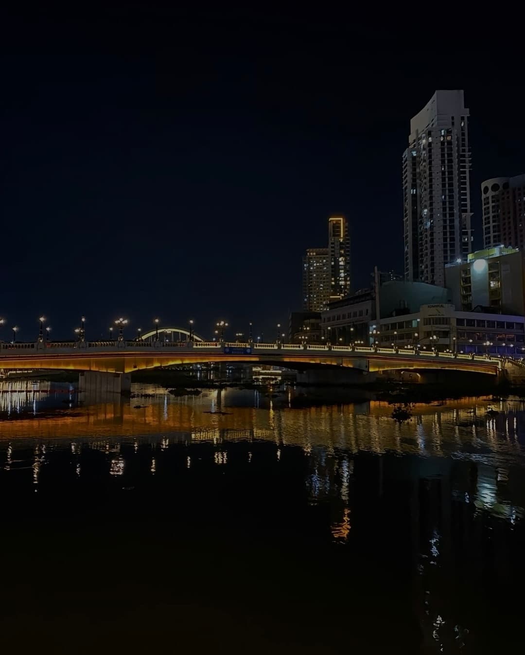 Pasig River Esplanade night architecture