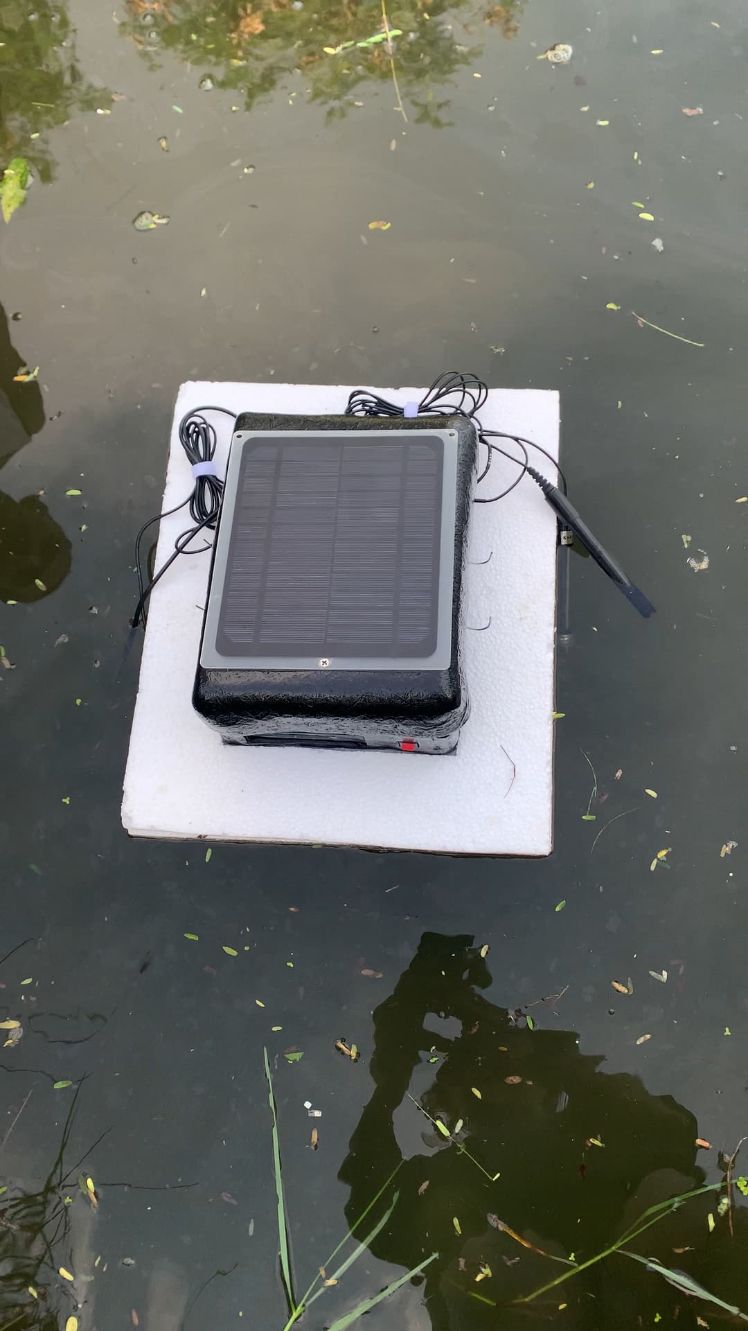 Device in the pond