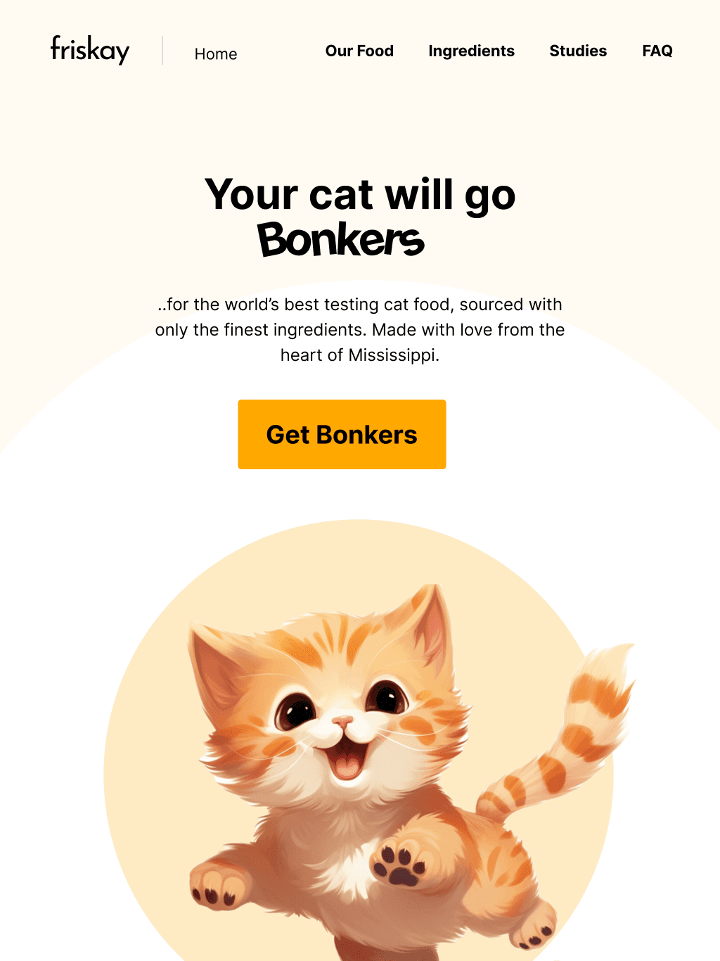 Friskay Website screenshot 2