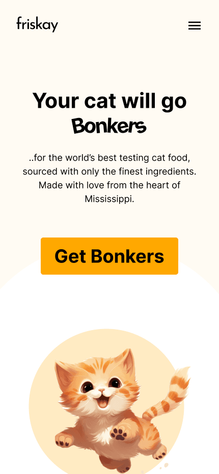Friskay Website screenshot 3